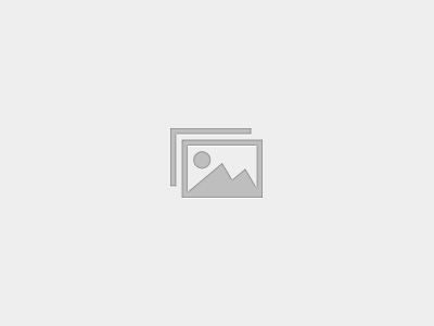 Foreign Employment Starter